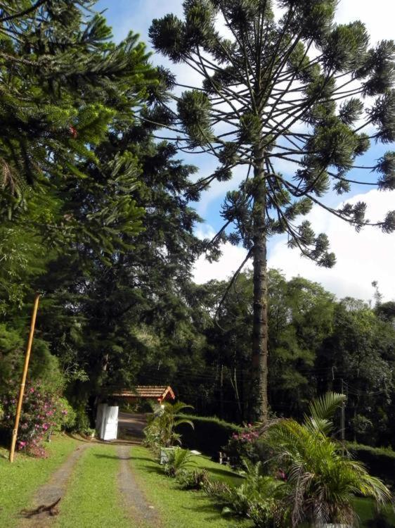 Pousada Bramasole Monte Verde  Esterno foto